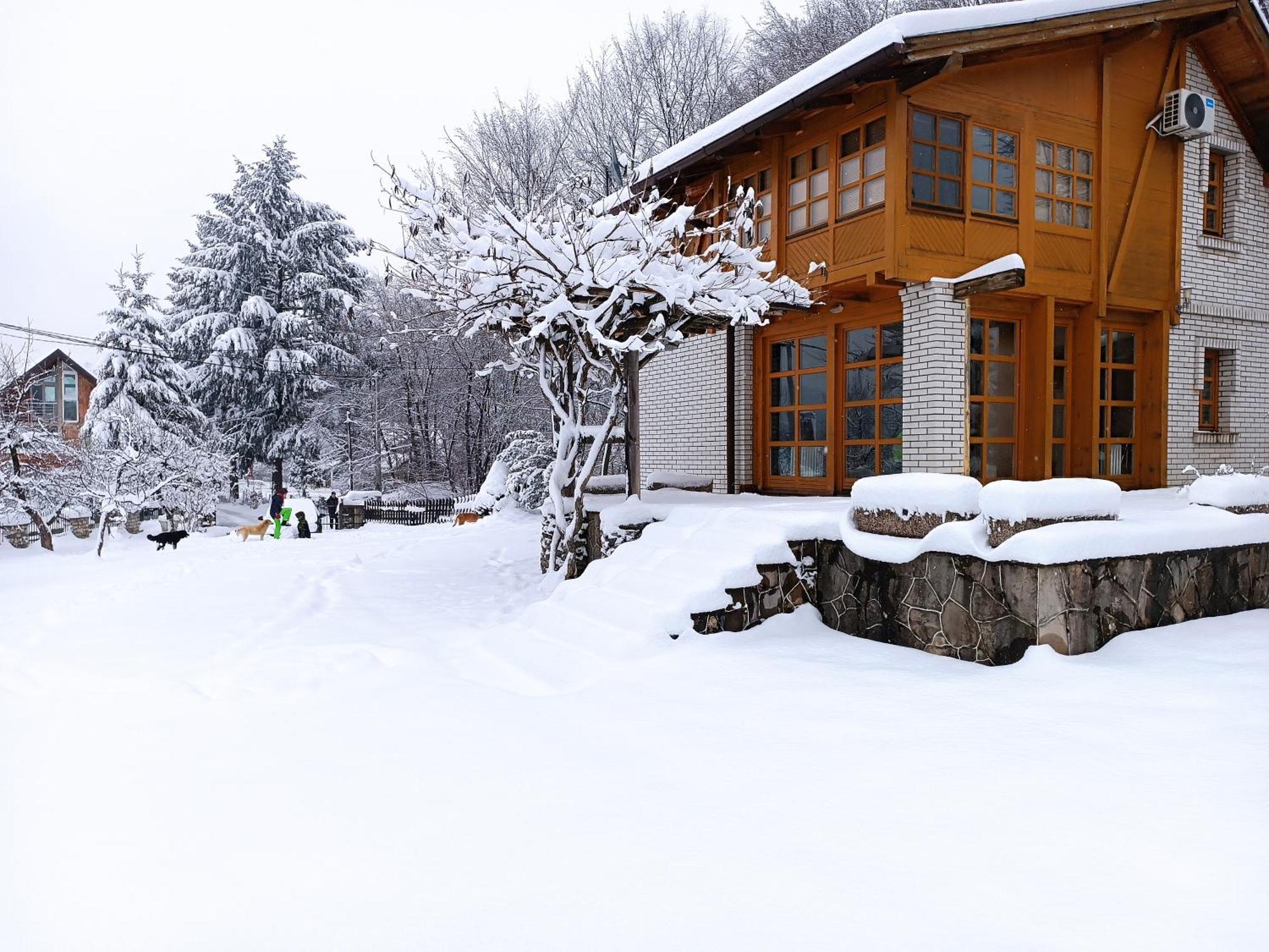Villa Ema 塞拉耶佛 外观 照片